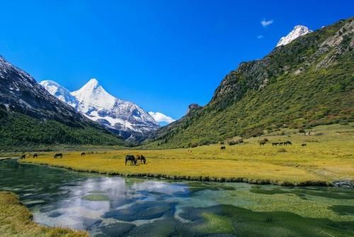 神山|错开旺季，在五月前往稻城亚丁，感受一次心灵上的远航。