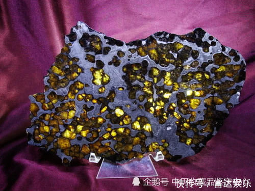 陨石卖出的时候,当初嘲笑她的村民才发现自己有多愚蠢