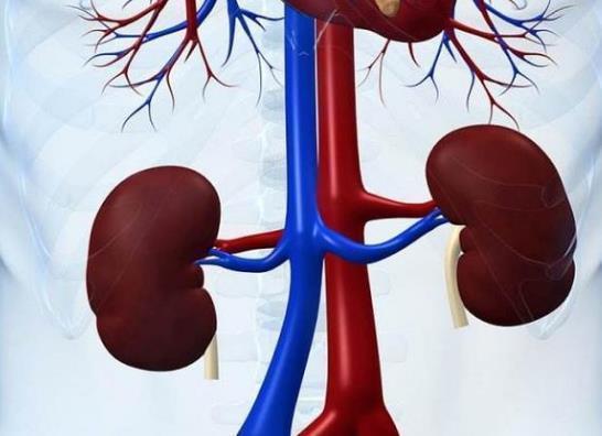 老夫老妻前后患上肝癌?医生劝告:1种水果经常吃,肝受不住!