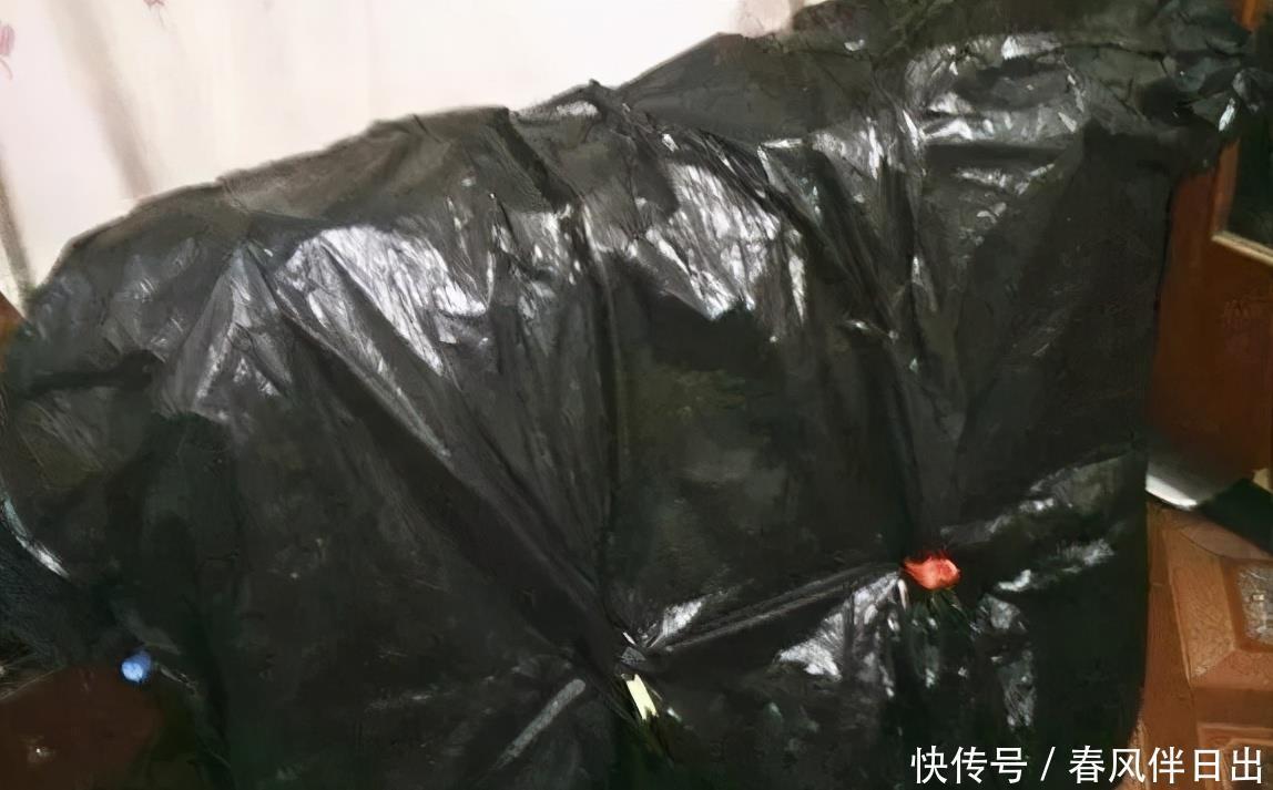 塑料袋作为生活垃圾，养花却堪称“全能”，用法多样