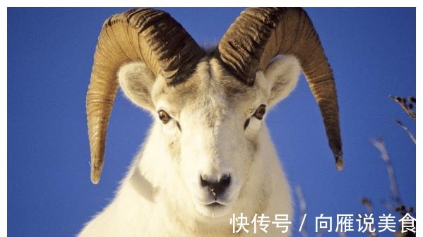 羊人|2021年谁是生肖羊的“真命贵人”找到他们，可助你谷底翻身
