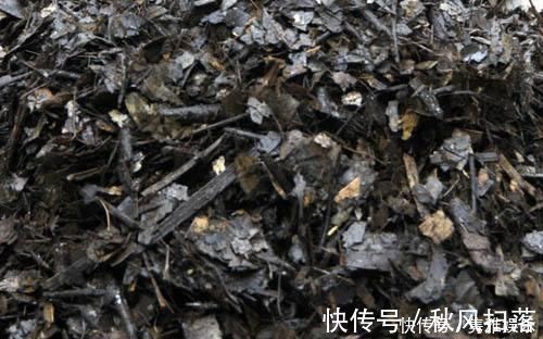 花草|养花土壤板结,三种“玩意儿”丢盆里,土又好又肥,再也不板结了
