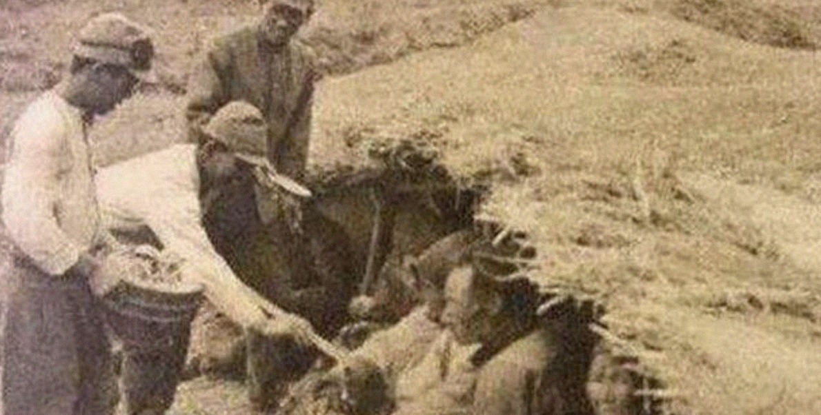 伤兵|日本投降后伤兵被弃，河南老农收留照料其47年，日本兵怎样报答？