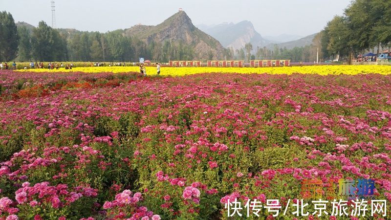 风景|美爆了！这些风景私藏了早秋90%的美～