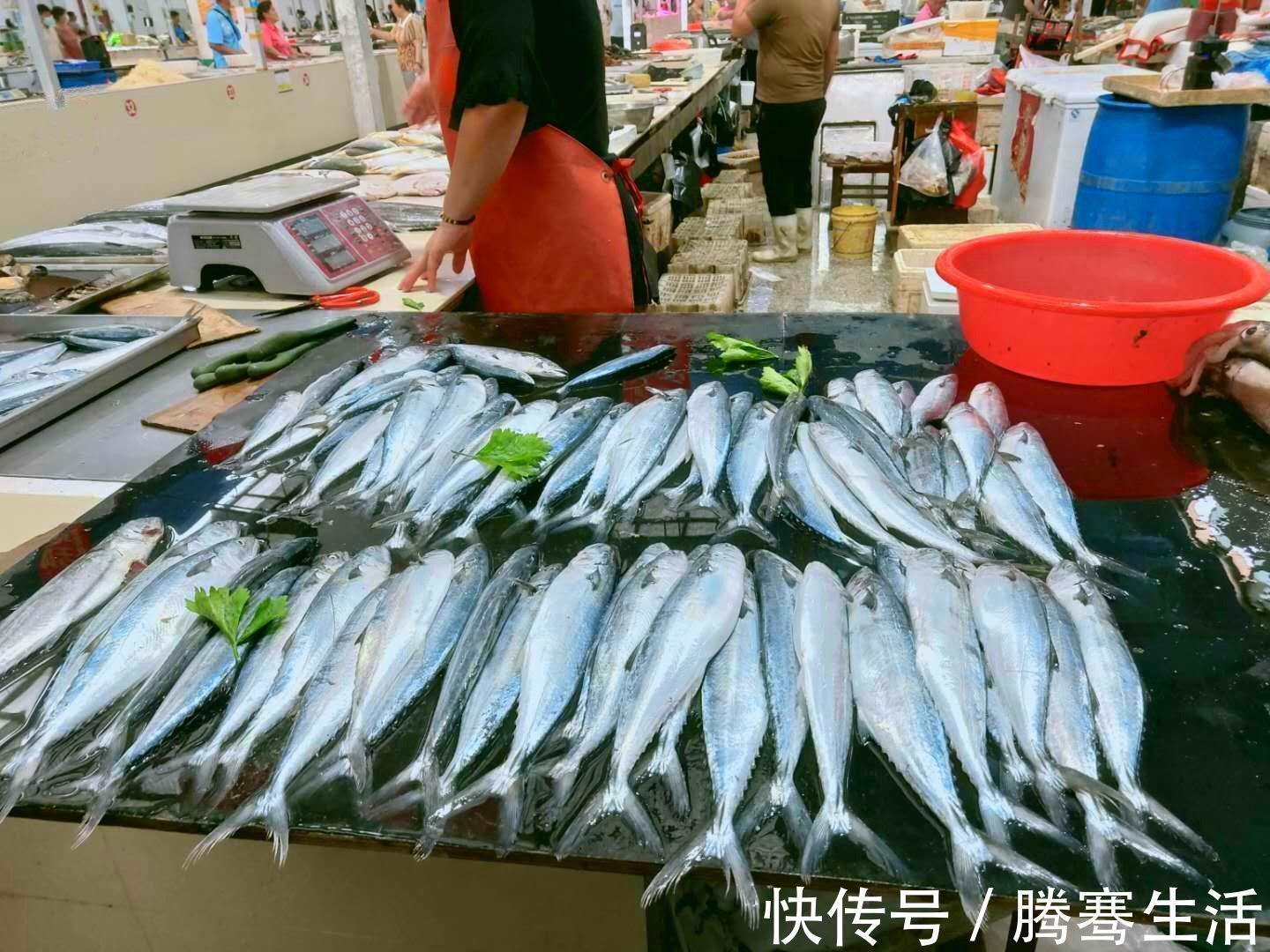 冬天碰到这鱼,我从不还价,目前无法人工养殖,做酱香鱼最美味!