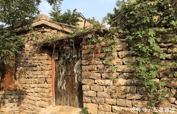  老人|老人常说: “无傻不成村”, 网友: 别人笑我太疯癫, 我笑他人看不穿!