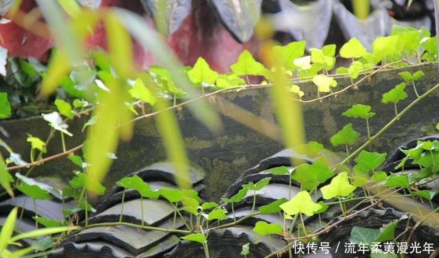 福报|掌门说人到四十,莫做四事,尤其是第二件,极损你的福报