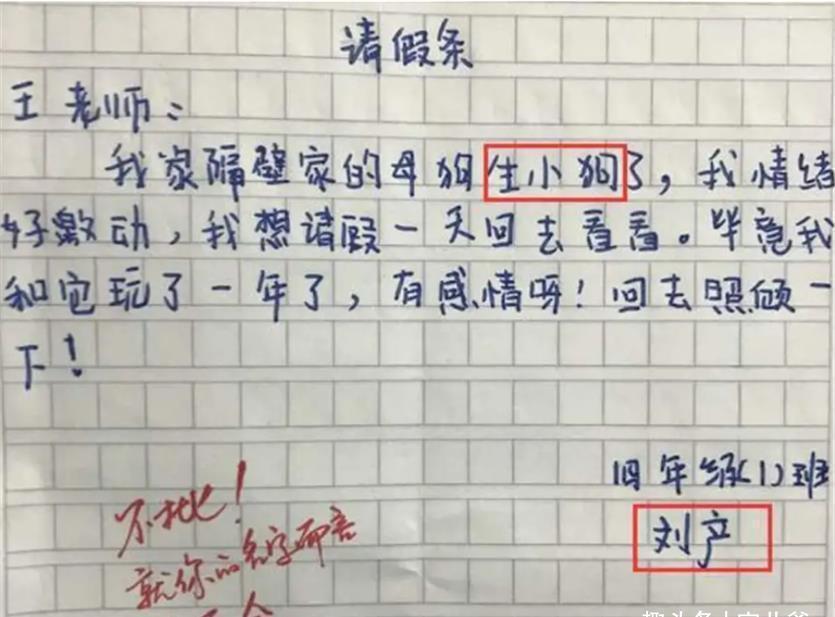 老师|小学生脑洞大开的“请假条”，让老师哭笑不得，网友直呼：优秀！