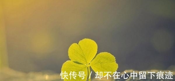 暴富|7月份，双子座运势详解，人间水蜜桃，暴富剧本到手