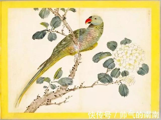 画谱!《百花鸟图》选页欣赏