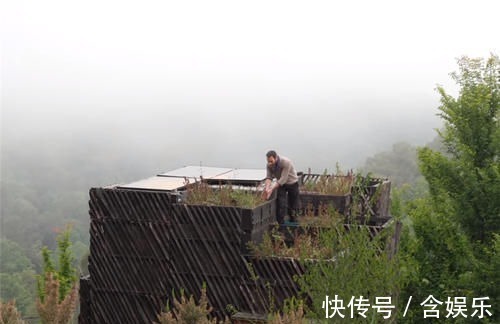 小菜园|他用40棵松树,在荒山野林建起小屋,屋顶种菜生活自给自足