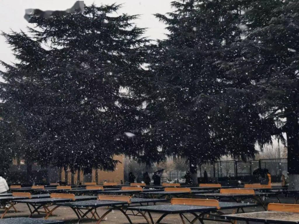 春观百花冬观雪醒亦念