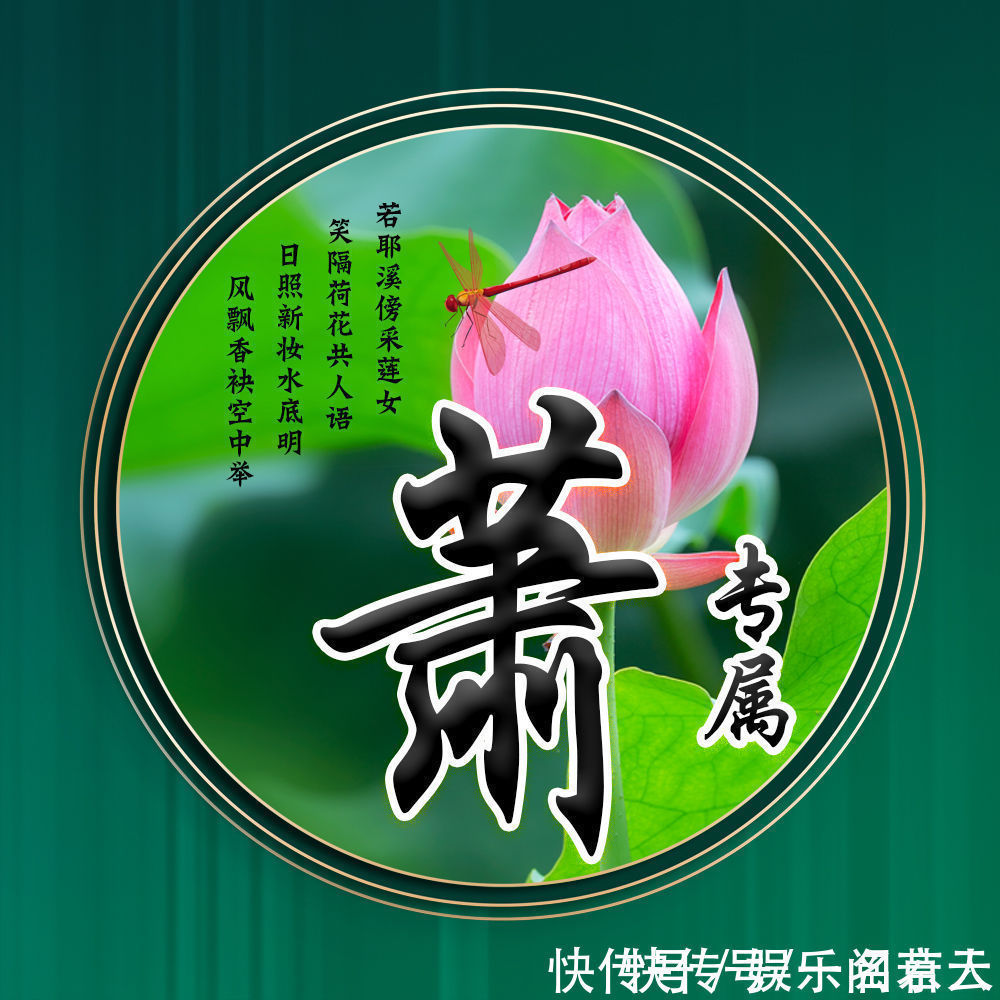 世人大!用你的姓氏当头像,20张唯美荷花大气图片,中国风华丽登场