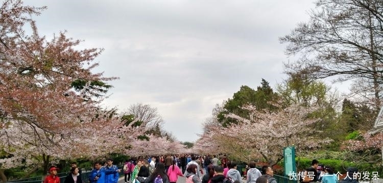 青岛最有代表性的22个景点，每一个都能让你不虚此行