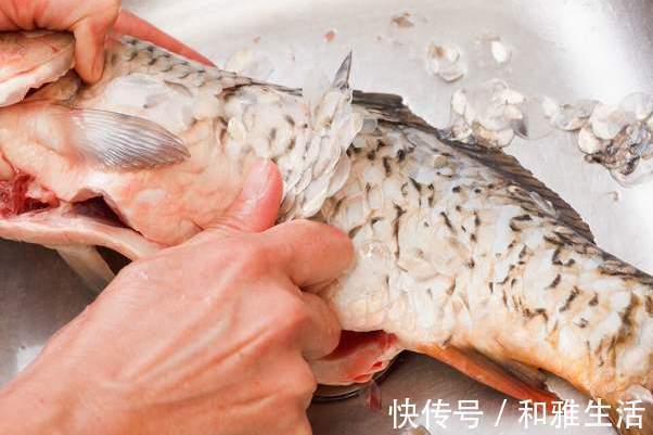 鱼肉|家常炖鱼,别只会用料酒去腥,牢记2个窍门,鱼肉更鲜嫩,没腥味