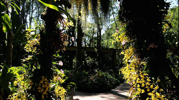 跟着一路向北的大象,到《向往的生活》的取景地,过过慵懒的生活
