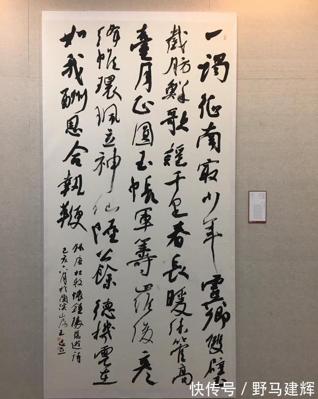 国展$“烧鸡体”看起来“丑丑”的,在国展中大受欢迎,他连入三届国展