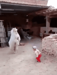 |搞笑GIF:下雪天不要乱走,因为随时可能直接消失不见