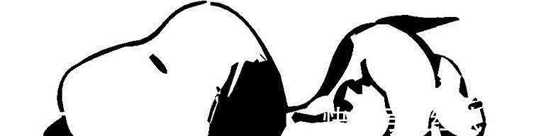 金桔|冬天咳嗽老不好,多喝一点“它”,比西药管用,比中药便宜!