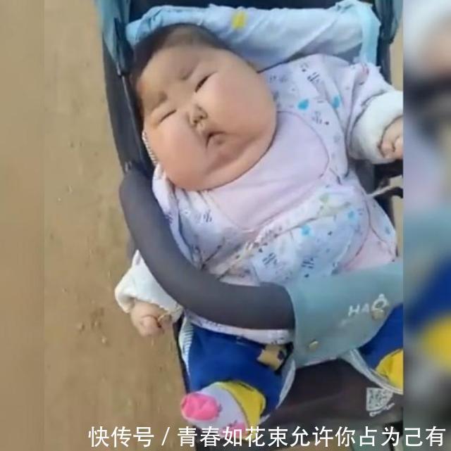 珊珊|婴儿车里的“大胖小子”,多半老人都喜欢,但真的可爱吗
