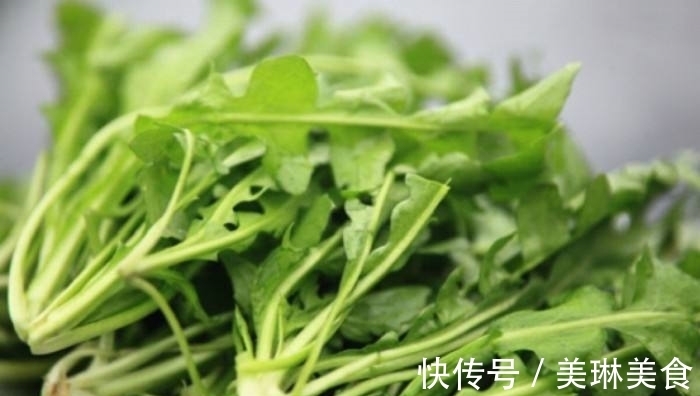 香气|乡村地边常见野菜，味道鲜美还有良好的药用价值。做盘菜不够吃