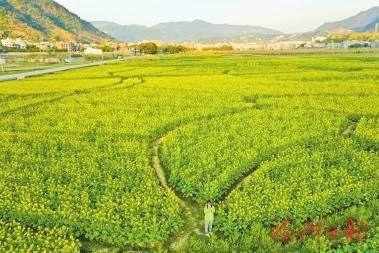 冬去千山醒 春来百花开