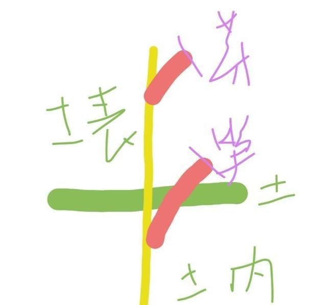 什么叫月季横拉月季横拉的枝条开花后如何修剪