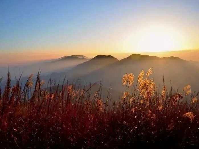 登顶|11.15 登顶搁船尖，看秋色“小武功山”，赏金色高山草甸