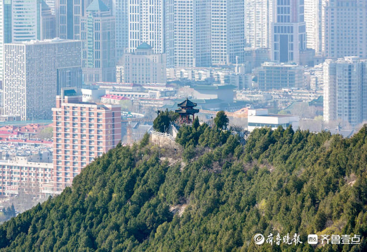 一城山色半城湖！济南的三大名胜，让你一次性尽收眼底|情报站| 山色