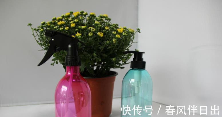 花根|养花人该常备的4样工具