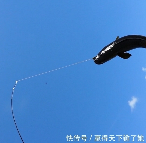 被遗忘的北大荒,水底的黑鱼可能比全国加起来还多