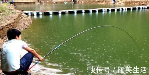 这几个地方别钓鱼，用了好鱼饵也钓不上鱼，太浪费时间