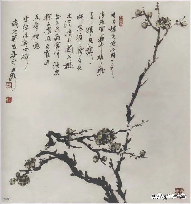 梅花$分享几组写意梅花创作示范