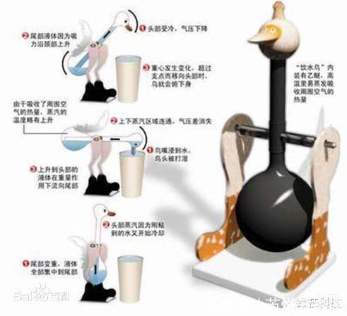智慧的结晶!中国古人发明的饮水鸟,“让爱因斯坦也吃惊的玩具”