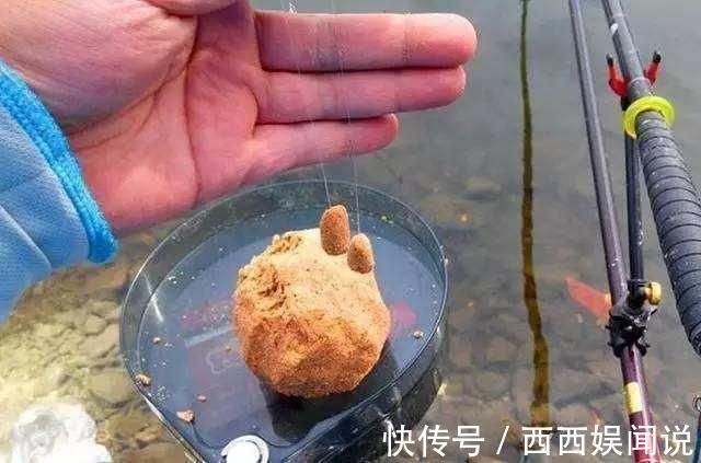 钓鱼窝子里明明有鱼，就是不吃饵，先把原因找到