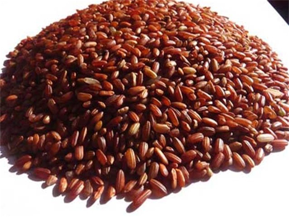 酿酒|真全粮家庭酿酒技术:自制红米酒的做法