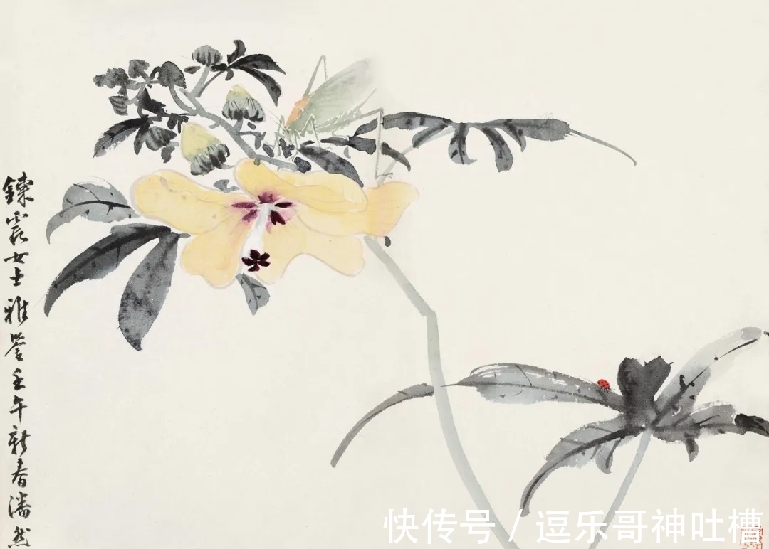 花鸟画!写虫圣手!潘君诺花鸟画