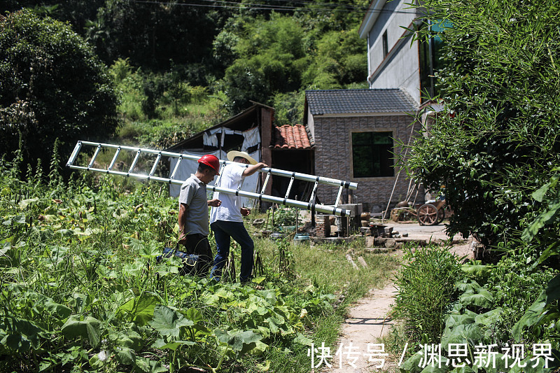 老房子|停止“确权”2021年新规下，农村住宅都这样处理，闹也没用