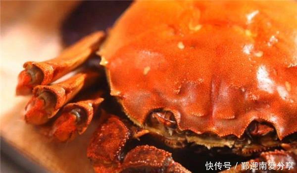挑选|如何挑选大闸蟹?资深养蟹人告诉你,看准“3点”,蟹黄又多又好