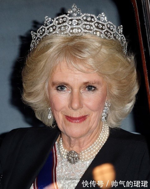 伊丽莎白 卡米拉的蛇形项链20年前做情人时查尔斯送的,蛇蝎气质一目了然