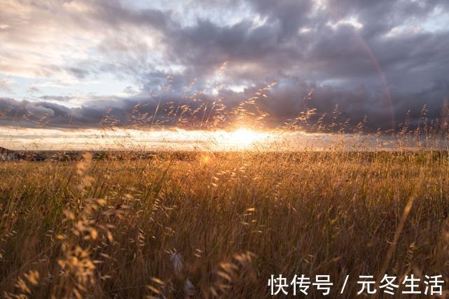 生肖狗|未来一周人生上上签，事业大吉大利，生活花开富贵的三个生肖