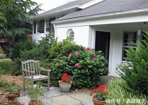 20个花园“庭院设计”，这么多美丽的院子，总有一个适合您！