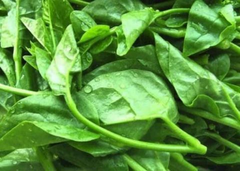 夏天|这道菜,全身都是宝!降压、降糖、排毒、补钙,最适合夏天吃