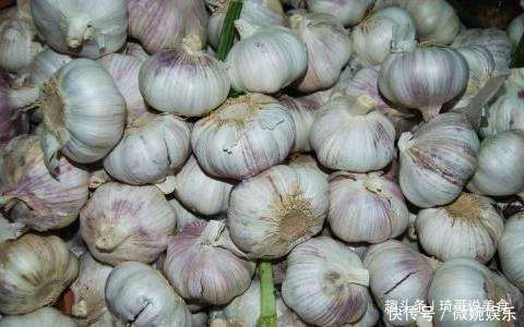 常吃大蒜好处多,但这4种大蒜不要买,今天才弄明白,长知识了!