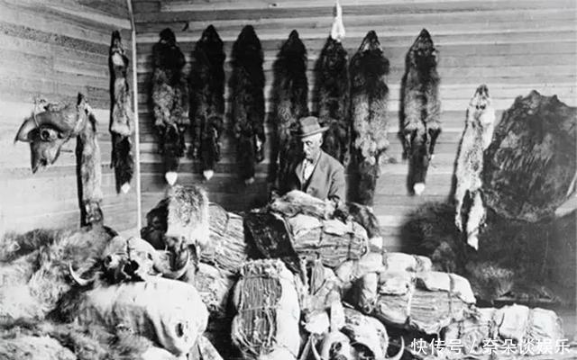 殖民地|17世纪西方文明的使者——穿行在北美蛮荒之地的毛皮自由交易者