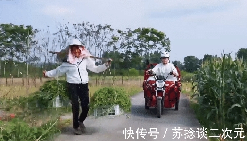 驾驶座|偶遇婆婆挑草，张艺兴彭昱畅的举动成焦点，人品是装不出的