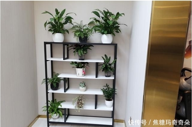 忠于颜值,始于陪伴!能让家幸福感爆棚,关键还不贵