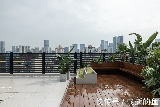 民宿|夏天的风，穿过了她的“百万民宿”