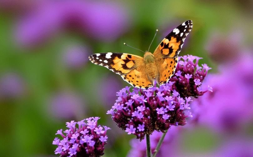  非诚|＂外卖＂哥上非诚勿扰，刚登场24灯就全灭，女嘉宾直言赶紧下台