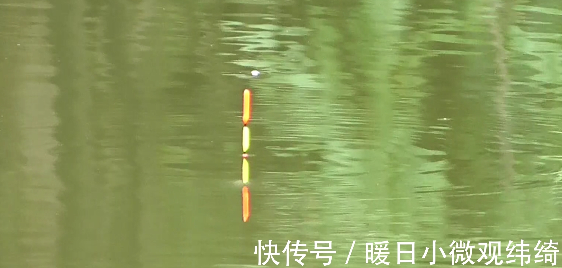 海竿|手竿钓鲢鳙,抓口不准总是跑鱼?记住这几句话能钓得手软!